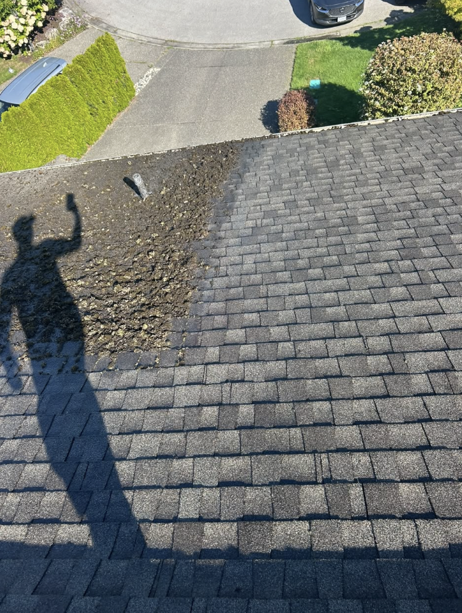 Shingle roof part way through moss removal, with cleaned shingles beside the untreated area